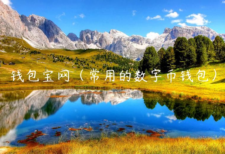 钱包宝网（常用的数字币钱包）-第1张图片-欧意交易所