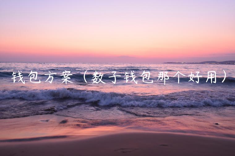 钱包方案（数子钱包那个好用）-第1张图片-欧意交易所