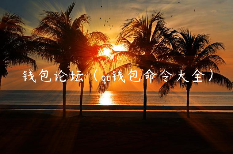 钱包论坛（qt钱包命令大全）-第1张图片-欧意交易所