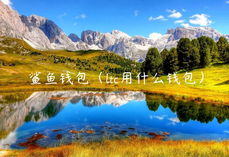 鲨鱼钱包（ltc用什么钱包）-第1张图片-欧意交易所