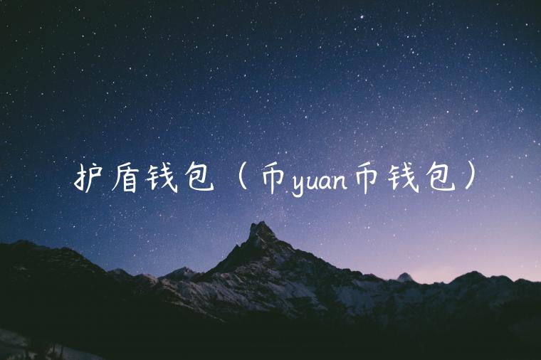 护盾钱包（币yuan币钱包）-第1张图片-欧意交易所