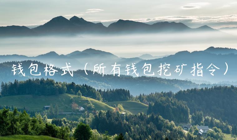 钱包格式（所有钱包挖矿指令）-第1张图片-欧意交易所