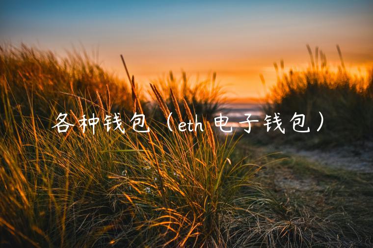 各种钱包（th 电子钱包）-第1张图片-欧意交易所