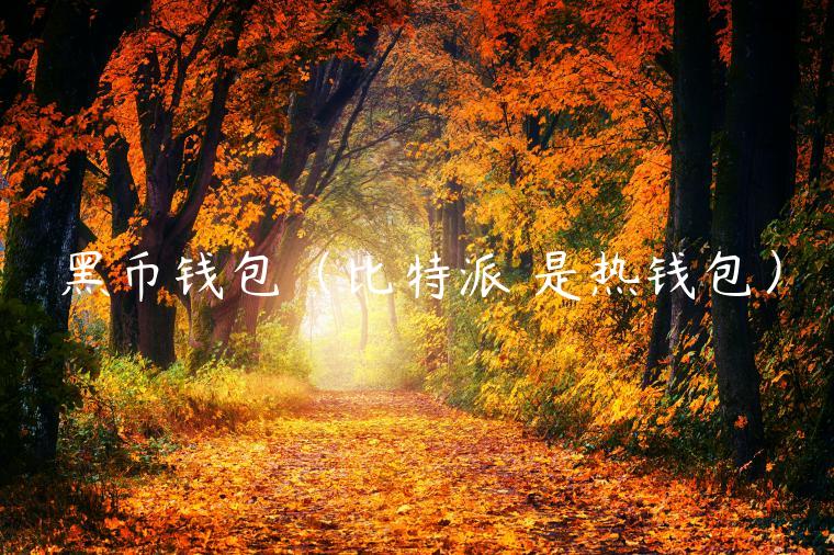 黑币钱包（比特派 是热钱包）-第1张图片-欧意交易所