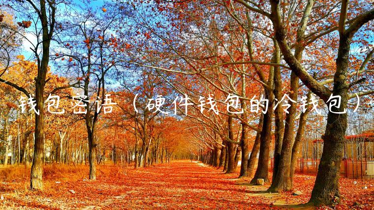 钱包密语（硬件钱包的冷钱包）-第1张图片-欧意交易所