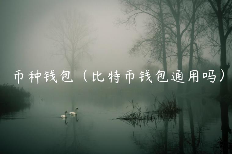 币种钱包（比特币钱包通用吗）-第1张图片-欧意交易所