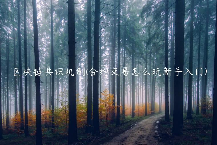 区块链共识机制 - 合约交易怎么玩新手入门-第1张图片-欧意交易所