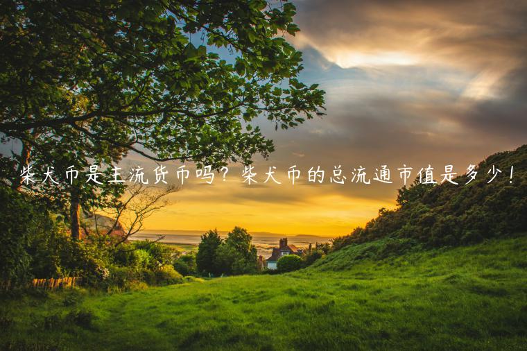 柴犬币是主流货币吗？柴犬币的总流通市值是多少！-第1张图片-欧意交易所