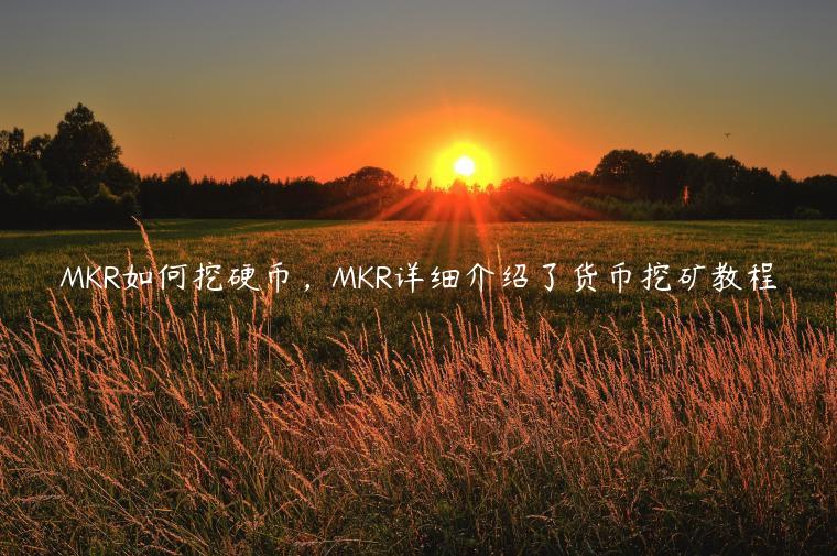 MKR如何挖硬币，MKR详细介绍了货币挖矿教程-第1张图片-欧意交易所