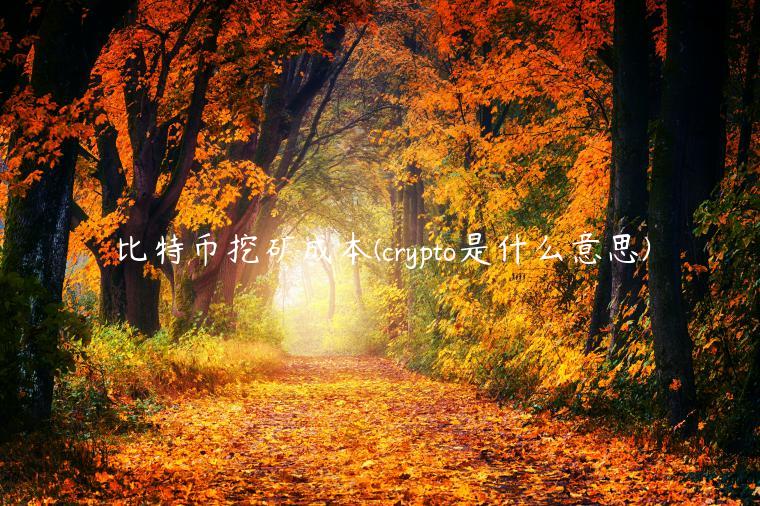 比特币挖矿成本 - crypto是什么意思-第1张图片-欧意交易所