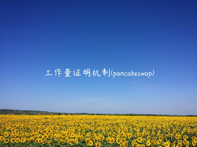 工作量证明机制 - pancakswap-第1张图片-欧意交易所