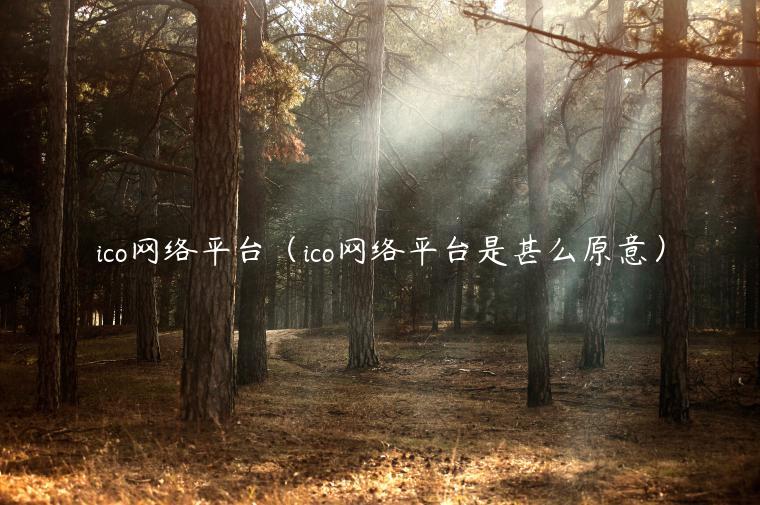 ico网络平台（ico网络平台是甚么原意）-第1张图片-欧意交易所