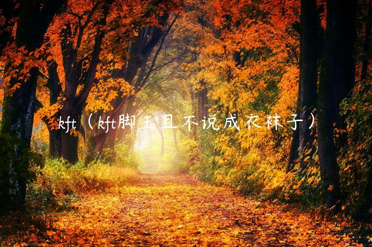 kft（kft脚王且不说成衣袜子）-第1张图片-欧意交易所