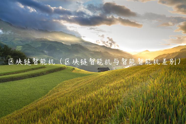 区块链智能机（区块链智能机与智能智能机差别）-第1张图片-欧意交易所