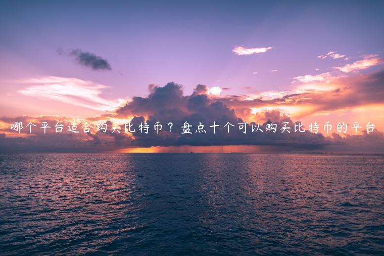 哪个平台适合购买比特币？盘点十个可以购买比特币的平台-第1张图片-欧意交易所