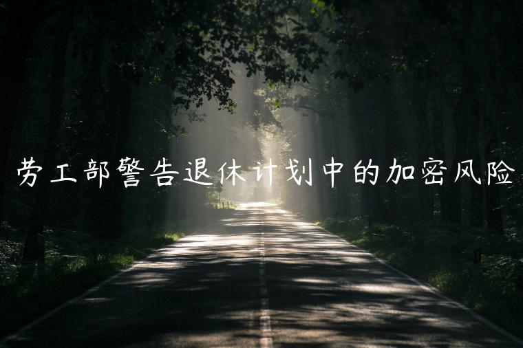 劳工部警告退休计划中的加密风险-第1张图片-欧意交易所