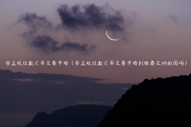 非正规位数汇率交易市场（非正规位数汇率交易市场到账要交纳的国吗）-第1张图片-欧意交易所