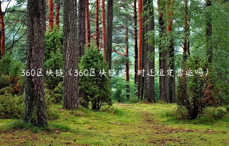 360区块链（360区块链猫那时还恒定营运吗）-第1张图片-欧意交易所