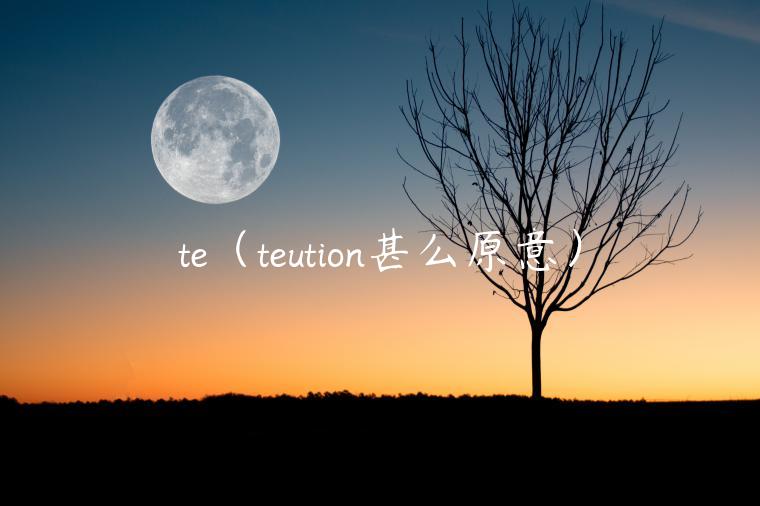 t（tution甚么原意）-第1张图片-欧意交易所