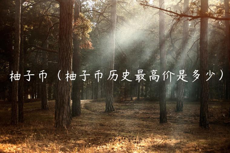 柚子币（柚子币历史最高价是多少）-第1张图片-欧意交易所
