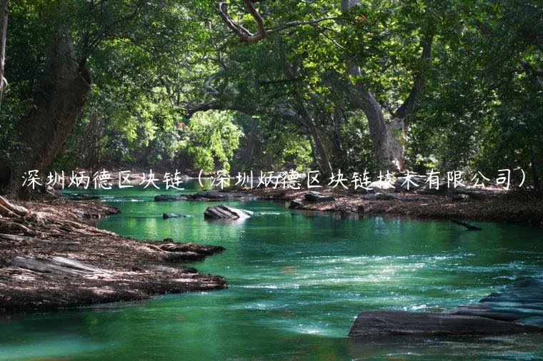 深圳炳德区块链（深圳炳德区块链技术有限公司）-第1张图片-欧意交易所
