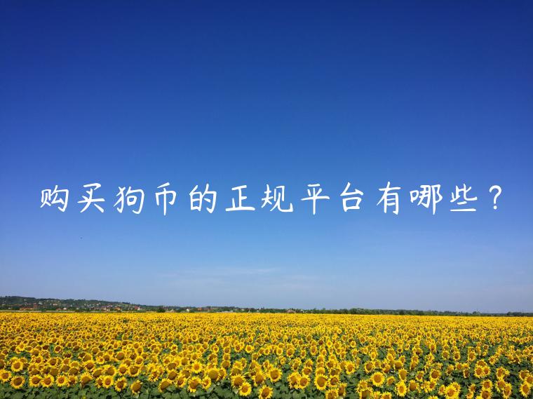 购买狗币的正规平台有哪些？-第1张图片-欧意交易所