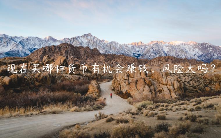 现在买哪种货币有机会赚钱，风险大吗？-第1张图片-欧意交易所