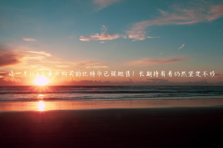 近一半以6万美元购买的比特币已被抛售！长期持有者仍然坚定不移-第1张图片-欧意交易所