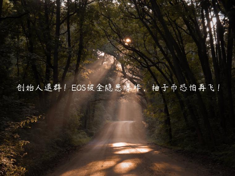 创始人退群！OS被全隐患爆炸，柚子币恐怕再飞！-第1张图片-欧意交易所