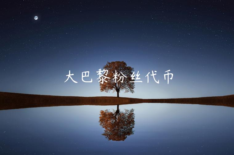 大巴黎粉丝代币-第1张图片-欧意交易所