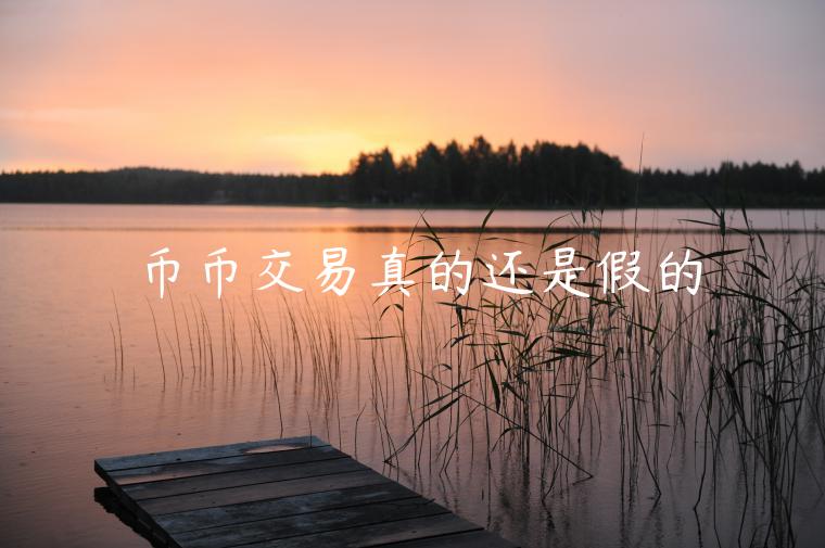 币币交易真的还是假的-第1张图片-欧意交易所