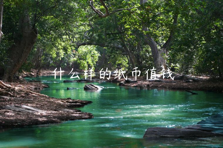 什么样的纸币值钱-第1张图片-欧意交易所
