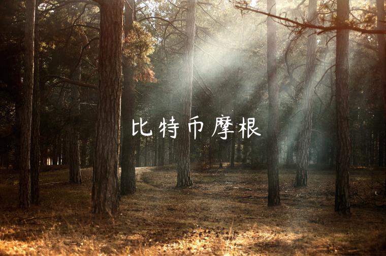 比特币摩根-第1张图片-欧意交易所