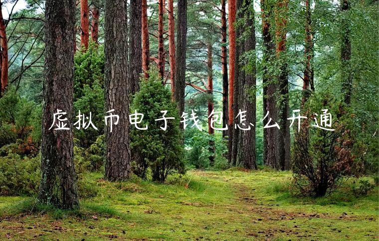 虚拟币电子钱包怎么开通-第1张图片-欧意交易所