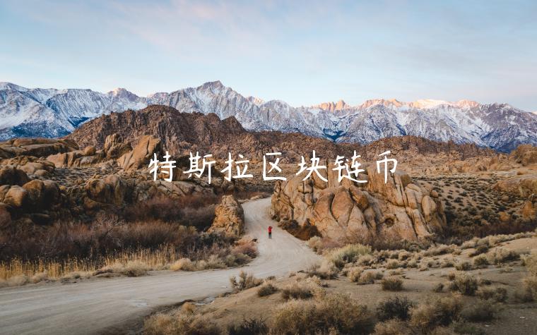 特斯拉区块链币-第1张图片-欧意交易所