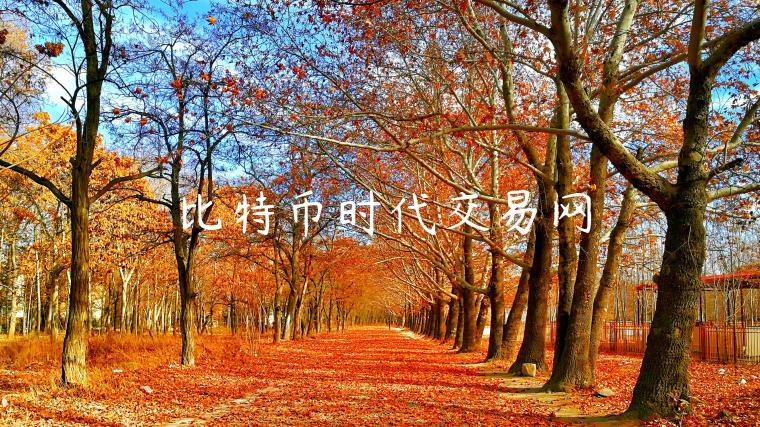 比特币时代交易网-第1张图片-欧意交易所