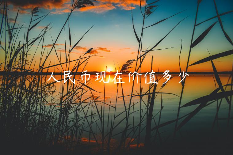 人民币现在价值多少-第1张图片-欧意交易所