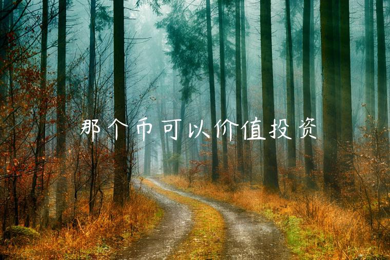 那个币可以价值投资-第1张图片-欧意交易所