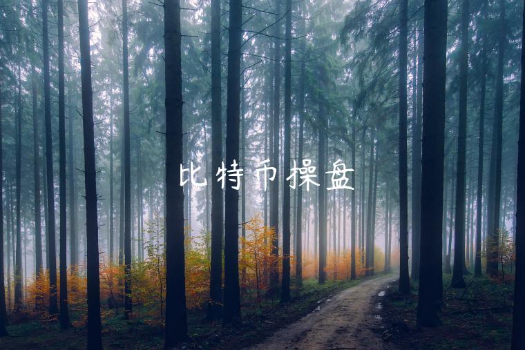 比特币操盘-第1张图片-欧意交易所