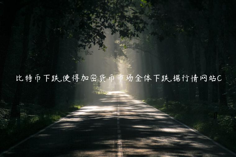 比特币下跌,使得加密货币市场全体下跌,据行情网站C-第1张图片-欧意交易所