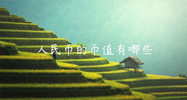 人民币的币值有哪些-第1张图片-欧意交易所