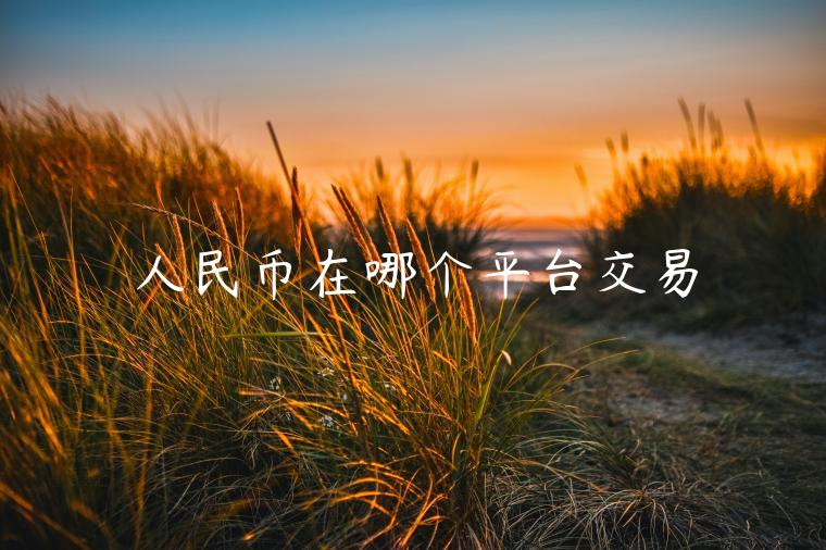 人民币在哪个平台交易-第1张图片-欧意交易所