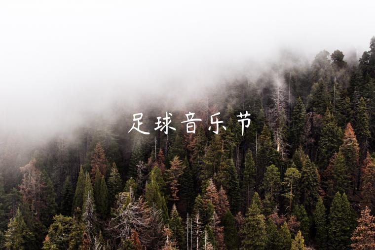 足球音乐节-第1张图片-欧意交易所