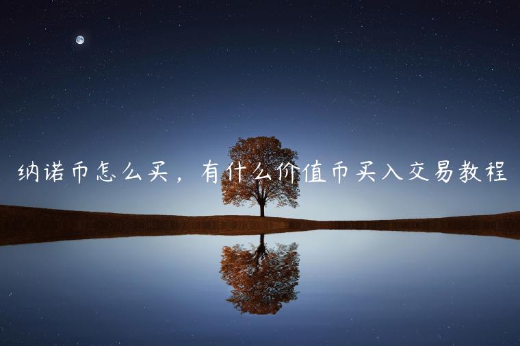 纳诺币怎么买，有什么价值币买入交易教程-第1张图片-欧意交易所