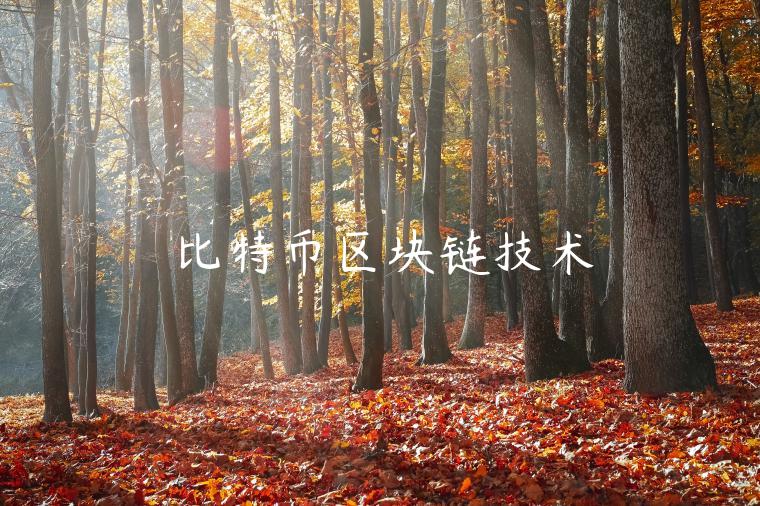 比特币区块链技术-第1张图片-欧意交易所