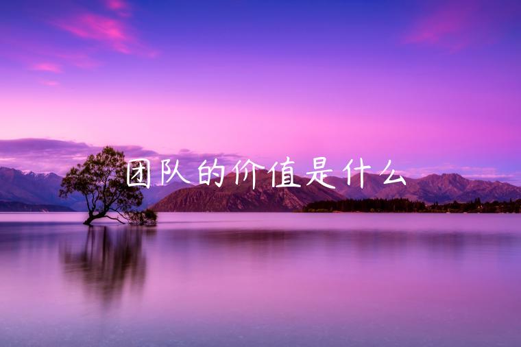 团队的价值是什么-第1张图片-欧意交易所