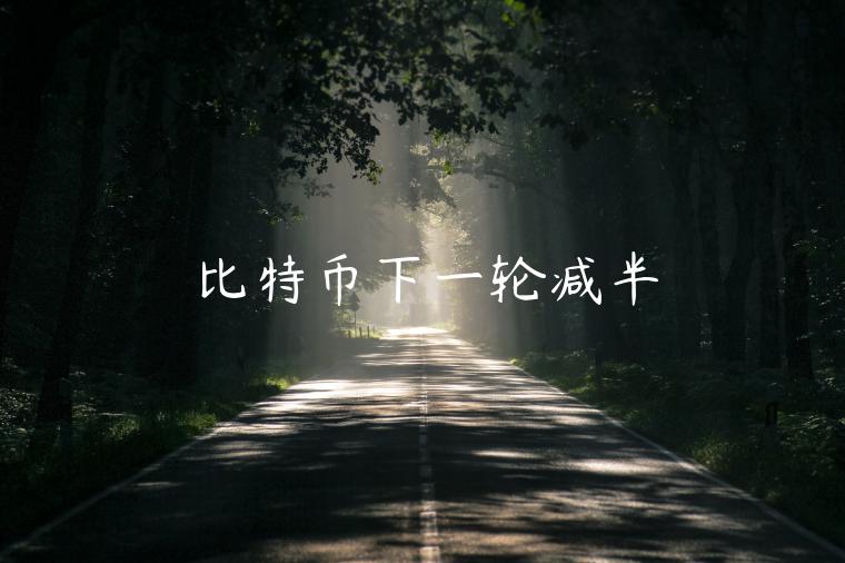 比特币下一轮减半-第1张图片-欧意交易所