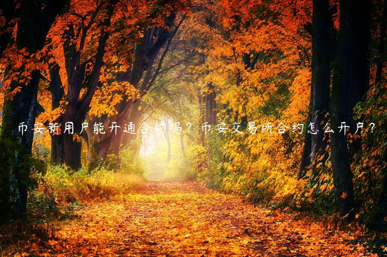 币安新用户能开通合约吗？币安 交易平台合约怎么开户？-第1张图片-欧意交易所