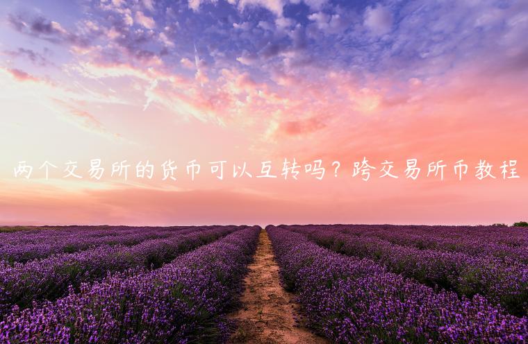 两个 交易平台的货币可以互转吗？跨 交易平台币教程-第1张图片-欧意交易所