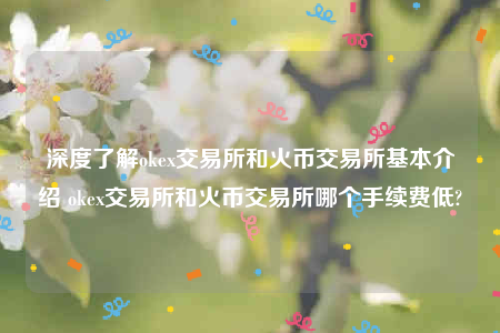 欧意下载最新官方app-深度了解ok 交易平台和火币 交易平台基本介绍 ok 交易平台和火币 交易平台哪个手续费低-第1张图片-欧意交易所